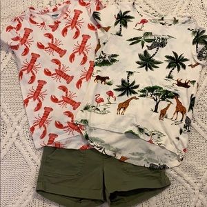 2 soft short sleeve tops/olive shorts